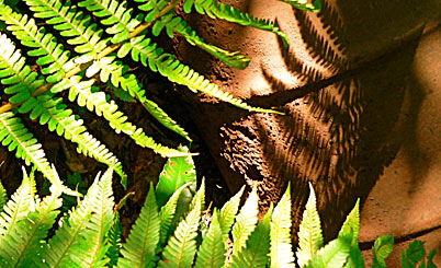 24小时轰炸对方的电话软件